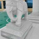 广州 白麻花岗岩动物异形石雕-大象