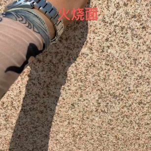 广州黄金麻火烧面