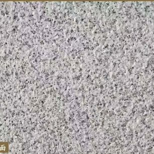 广州白麻荔枝面