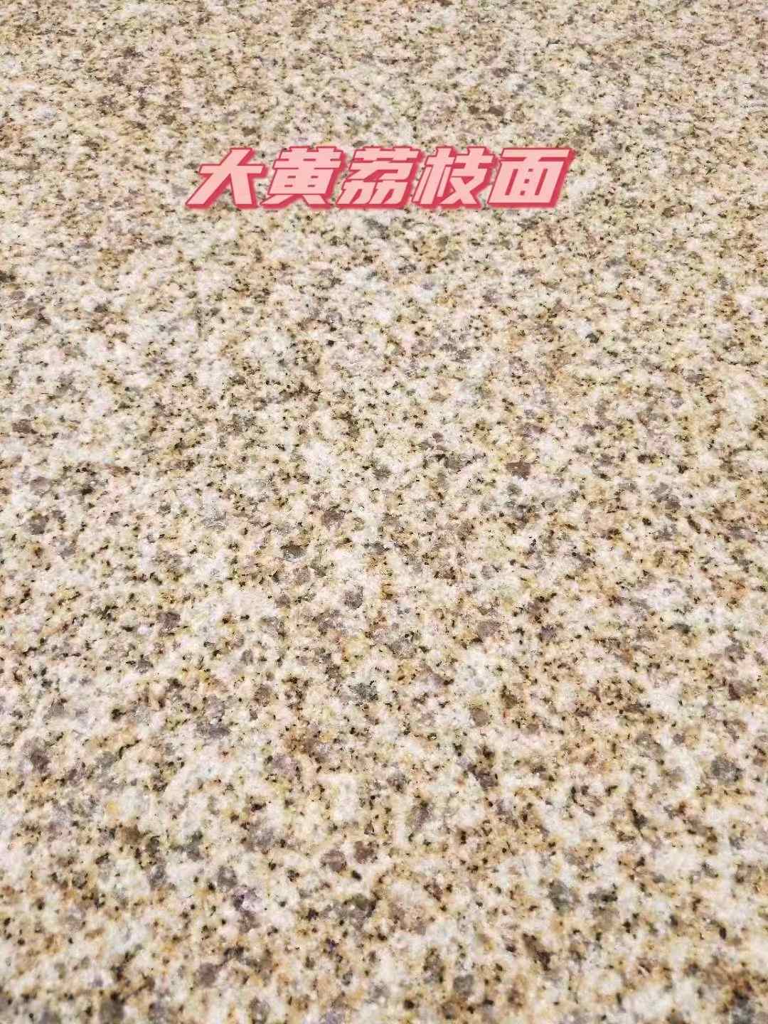 广州黄金麻大黄荔枝面