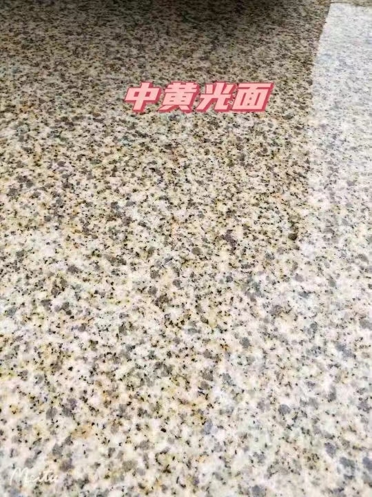 广州黄金麻中黄光面
