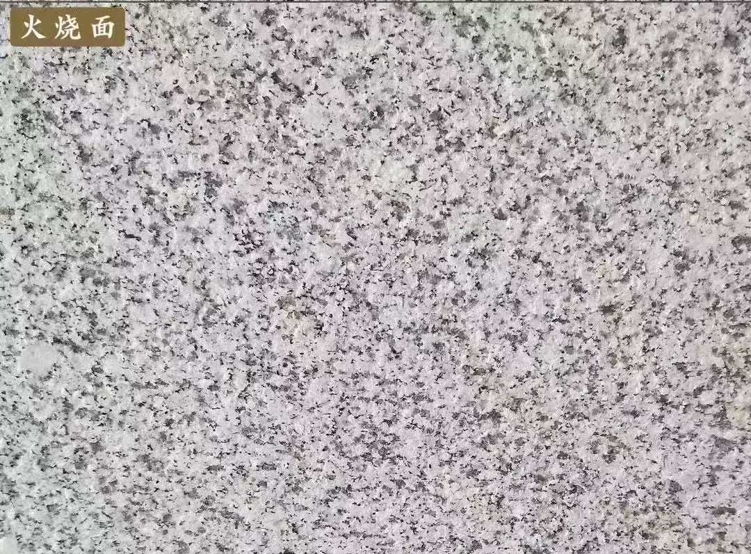 广州白麻火烧面